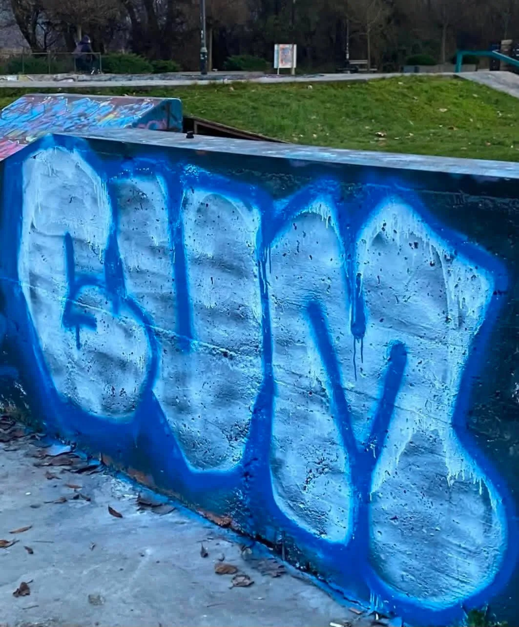 GVM throw-up at the Ohrid skatepark